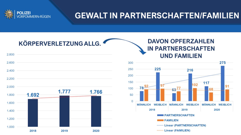 Gewalt in Partnerschaften, Familien 2018-2020, Statistik Polizei Stralsund